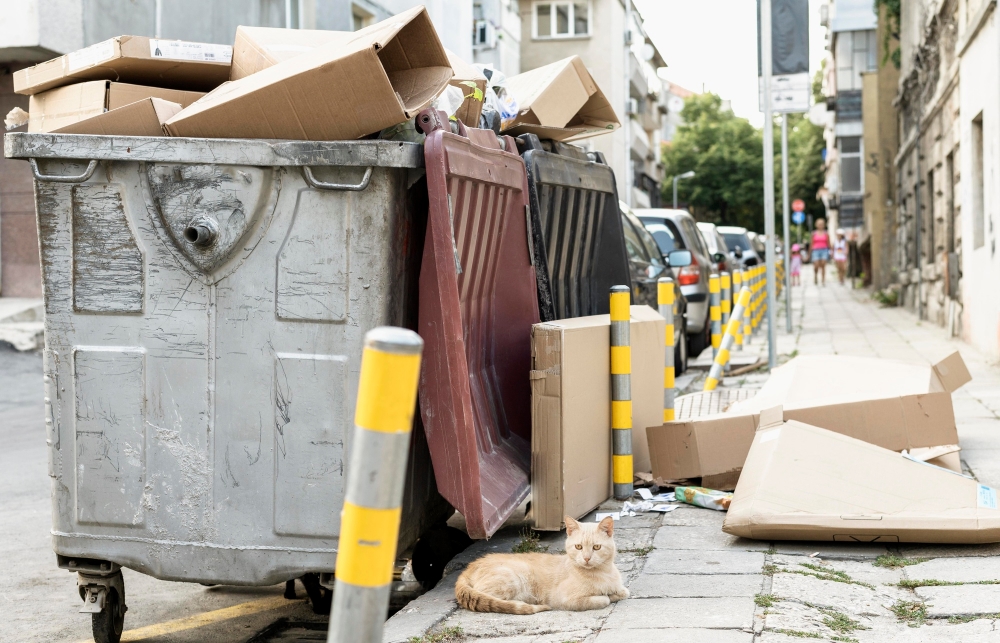 Our Junk Removal Process