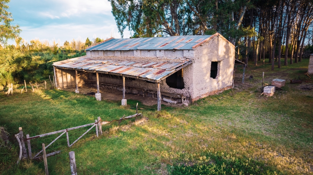 Old Garden Shed Removal Services in Dublin