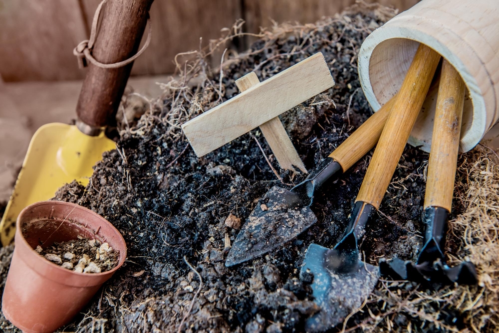 Our Garden Clearance Process