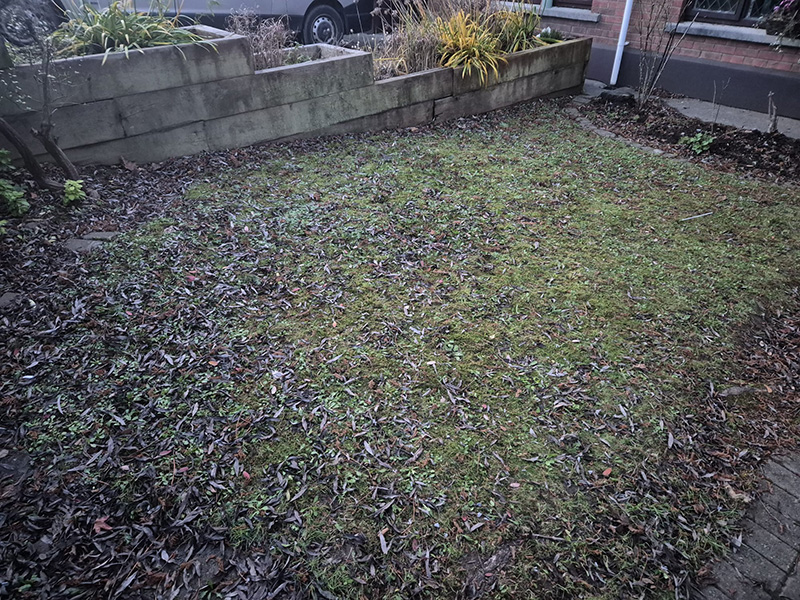 garden-clearance