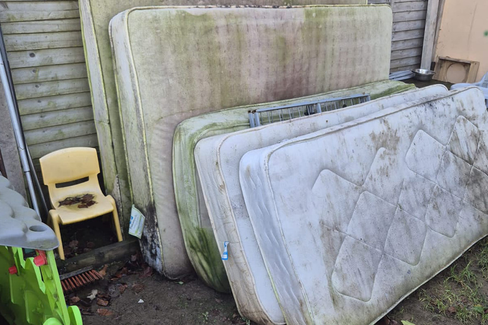 junk-removal-services